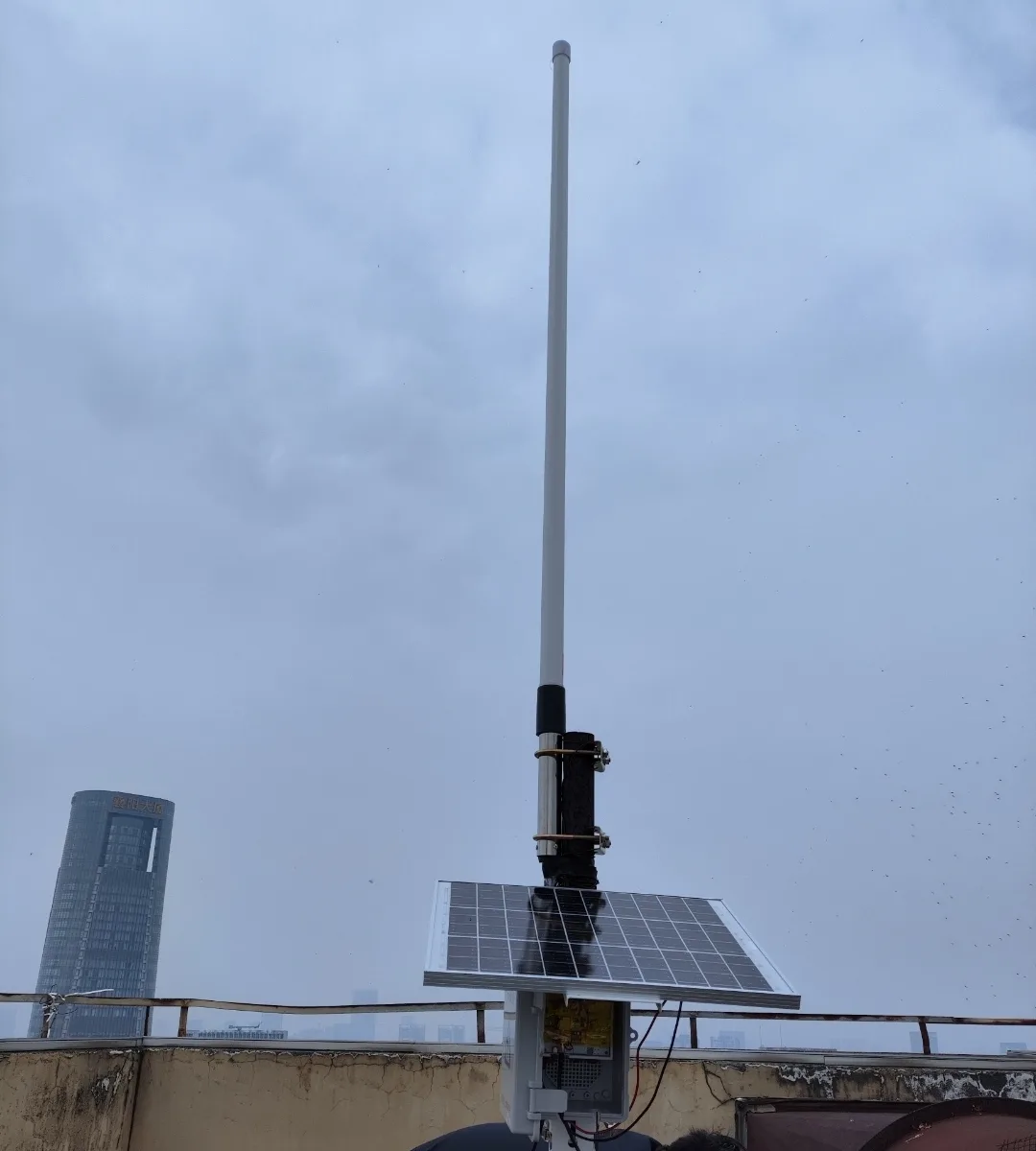 武汉001